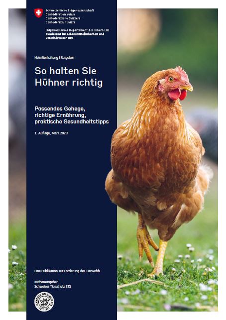 Bild Hühnerbroschüre